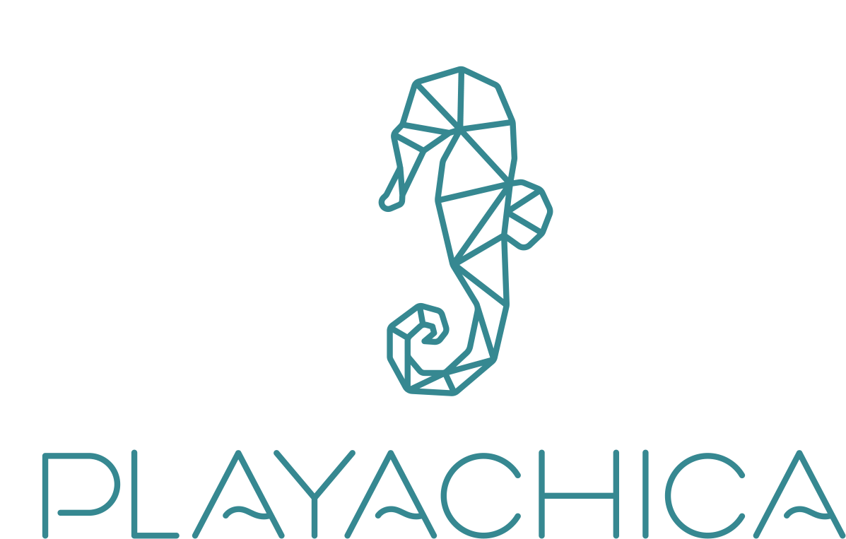 logo playa chica